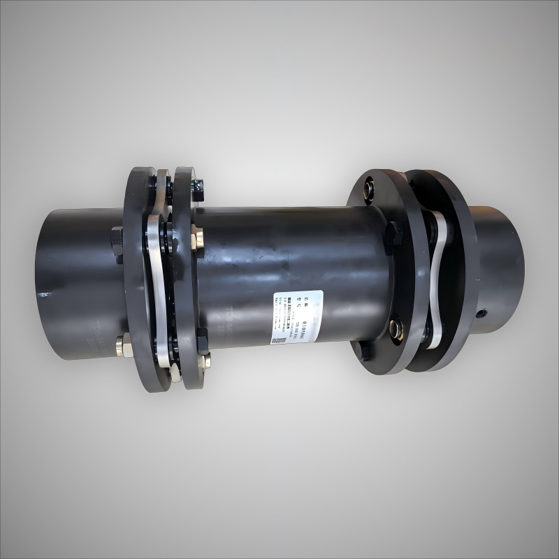 Одинарный двойной дисковый насос ANDRITZ, металлический насос, гибкая дисковая муфта