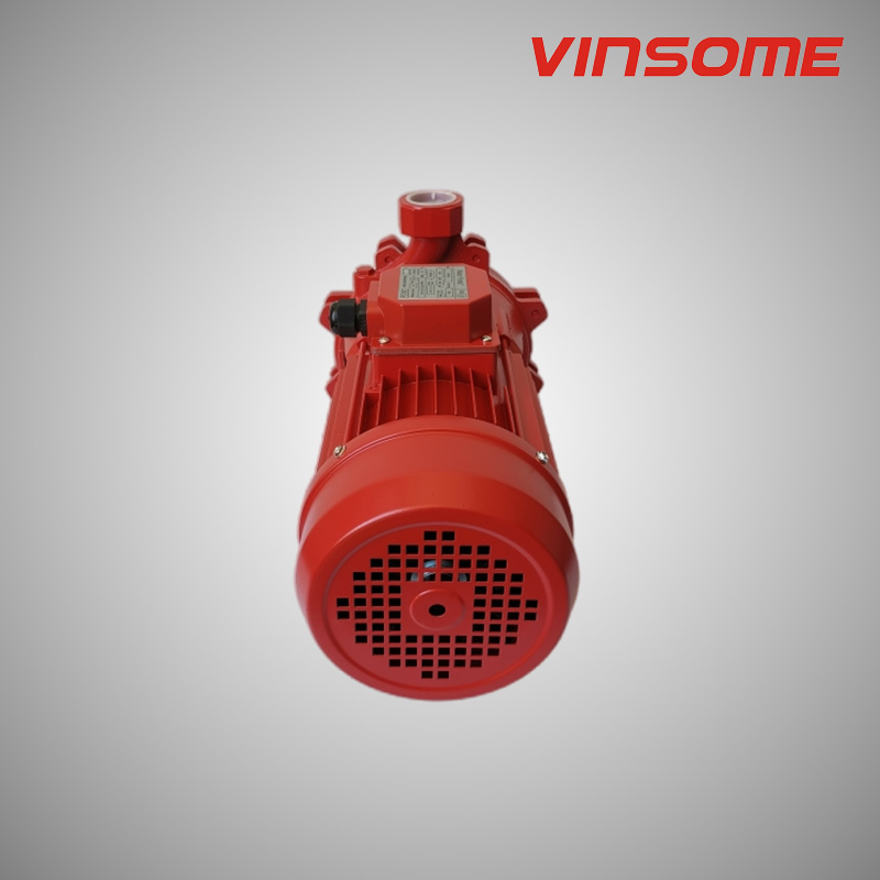 Центробежный бустерный насос с двухступенчатым рабочим колесом и закрытой муфтой с торцевым всасыванием