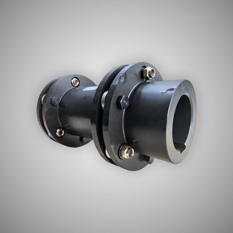 Одинарный двойной дисковый насос ANDRITZ, металлический насос, гибкая дисковая муфта