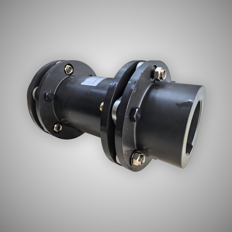 Одинарный двойной дисковый насос ANDRITZ, металлический насос, гибкая дисковая муфта