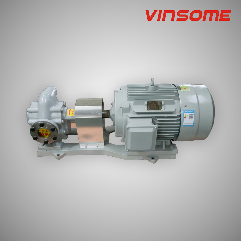 Противоизносный внутренний шестеренный насос с балансировкой давления, сертифицированный FDA